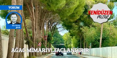 AĞAÇ MİMARİYİ TAÇLANDIRIR