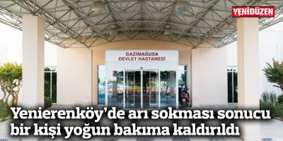 Yenierenköy’de arı sokması sonucu bir kişi yoğun bakıma kaldırıldı 