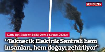 Dalkan: “Teknecik Elektrik Santrali hem insanları, hem doğayı zehirliyor”