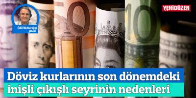 Döviz kurlarının son dönemdeki inişli çıkışlı seyrinin nedenleri