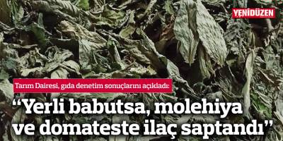 “Yerli babutsa, molehiya ve domateste ilaç saptandı”