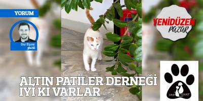 ALTIN PATİLER DERNEĞİ İYİ Kİ VARLAR