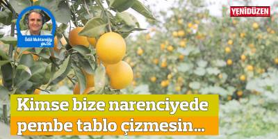 Kimse bize narenciyede pembe tablo çizmesin…