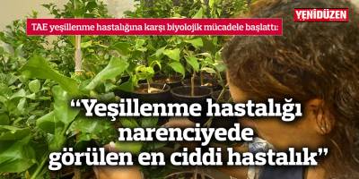 “Yeşillenme hastalığı narenciyede görülen en ciddi hastalık”