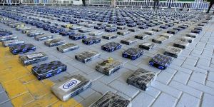 1,5 ton esrar ele geçirildi