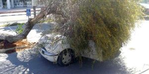 Şiddetli rüzgar zarar getirdi