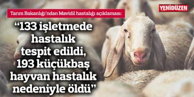 “133 işletmede hastalık tespit edildi, 193 küçükbaş hayvan hastalık nedeniyle öldü”