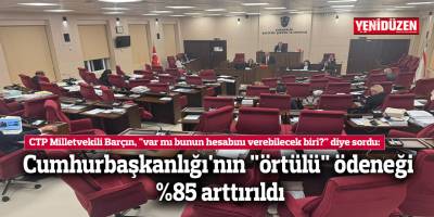 Cumhurbaşkanlığı'nın "örtülü" ödeneği %85 arttırıldı
