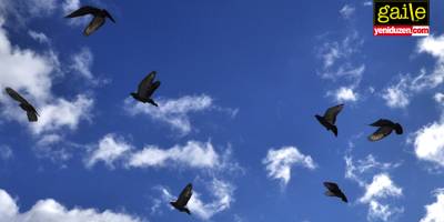 Parçalanmış Dünya: Birlik Eksikliği Tabusu