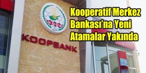 Yönetimin istifası ardından Başbakan açıkladı