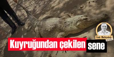 Kuyruğundan çekilen sene!