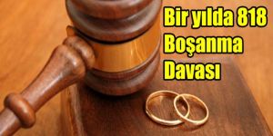 2013 yılı Mahkemeler Raporu dikkat çekici