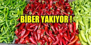 Sebze fiyatları düştü, meyve fiyatları arttı