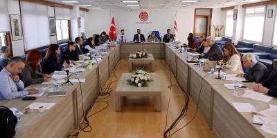 Sağlık Hizmetleri Dairesi Yasa Tasarısı komitede ele alınıyor