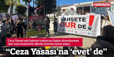 “Hayvan haklarını savunmak bu kadar mı zor?”