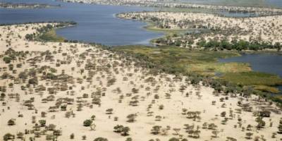 Afrika'nın can damarı Çad Gölü kurumaya devam ediyor