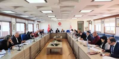 İdari, Kamu ve Sağlık İşleri Komitesi iki tasarıyı görüştü