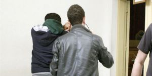 Hint Keneviri ve Bonzai