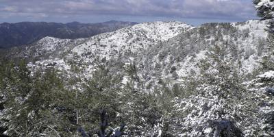Trodos'ta karlı manzara fotoğrafı çeken kadına araba çarptı