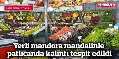 Yerli mandora mandalinle patlıcanda kalıntı tespit edildi
