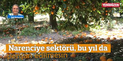 Narenciye sektörü, bu yıl da perişan edilmesin