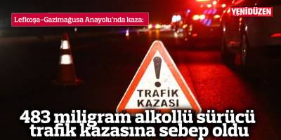 483 miligram alkollü sürücü trafik kazasına sebep oldu