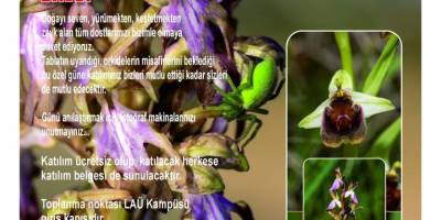 13. Geleneksel Orkide Vadisi Gözlem Yürüyüşü 9 Mart Pazar günü yapılacak