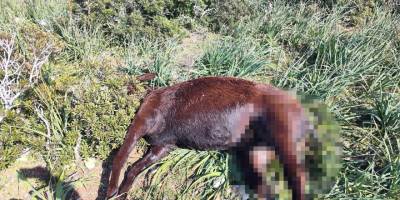 Örgütler, Meclis’e siyah çelenk bırakacak