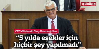 “5 yılda eşekler için hiçbir şey yapılmadı”