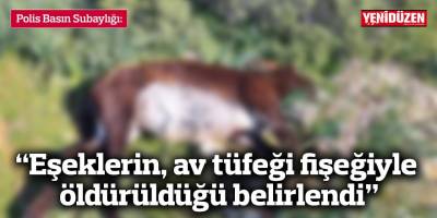 “Eşeklerin, av tüfeği fişeğiyle öldürüldüğü belirlendi”