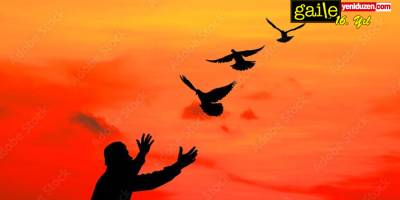 Dezenformasyonla Mücadelede Bilinçli Kullanım: Yurttaş Gazeteciliği, Barış Gazeteciliği ve Teyitçilik