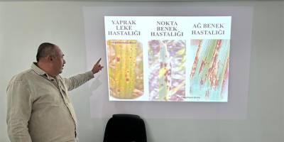 Tahıl hastalıkları ve zararlılarıyla mücadele yöntemleri konusunda üreticilere eğitim verildi