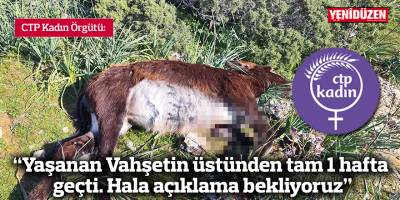 “Yaşanan Vahşetin üstünden tam 1 hafta geçti. Hala açıklama bekliyoruz”