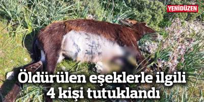 Öldürülen eşeklerle ilgili 4 kişi tutuklandı