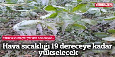 Yarın ve cuma yer yer don bekleniyor...