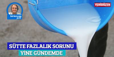 SÜTTE FAZLALIK SORUNU YİNE GÜNDEMDE