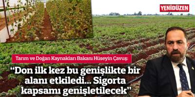 Çavuş: "Don ilk kez bu genişlikte bir alanı etkiledi... Sigorta kapsamı genişletilecek"