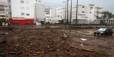 Fransa'da ölümcül fırtına! Ağaçların altından cansız beden çıkardılar