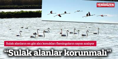 “Sulak alanlar korunmalı”