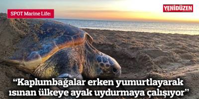 SPOT Marine Life: "Kaplumbağalar erken yumurtlayarak ısınan ülkeye ayak uydurmaya çalışıyor"