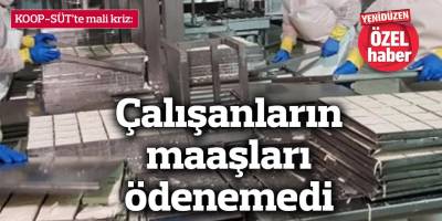 KOOP-SÜT’te mali kriz