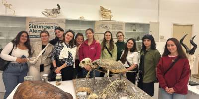 Polonya’dan geldiler, müzelere hayran kaldılar!