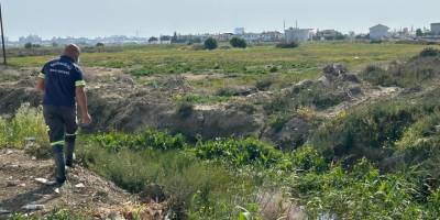 Gazimağusa Belediyesi sulak alanlarda sivrisinekle mücadaleye başladı