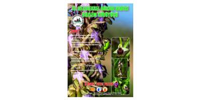 Orkide yürüyüşünde 6 Şubat depreminde hayatını kaybeden Hüssam çifti anılacak