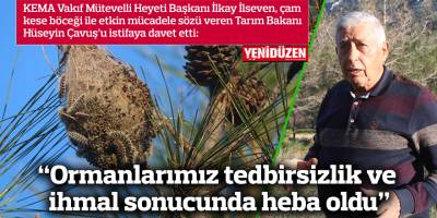 “Ormanlarımız tedbirsizlik ve ihmal sonucunda heba oldu”