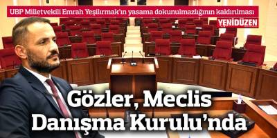 Gözler, Meclis Danışma Kurulu’nda