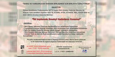 “İki toplumda emekçi kadınların konumu” konulu panel yapılıyor…