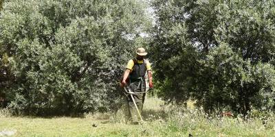 LTB’den bölgesel temizlik öncesi arsa ve arazi sahiplerine çağrı