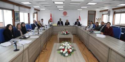 Meclis İdari, Kamu ve Sağlık İşleri Komitesi sağlık yasalarını görüştü