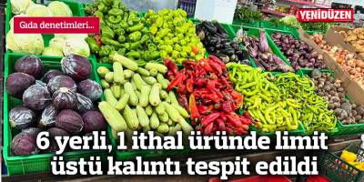 6 yerli, 1 ithal üründe limit üstü kalıntı tespit edildi
